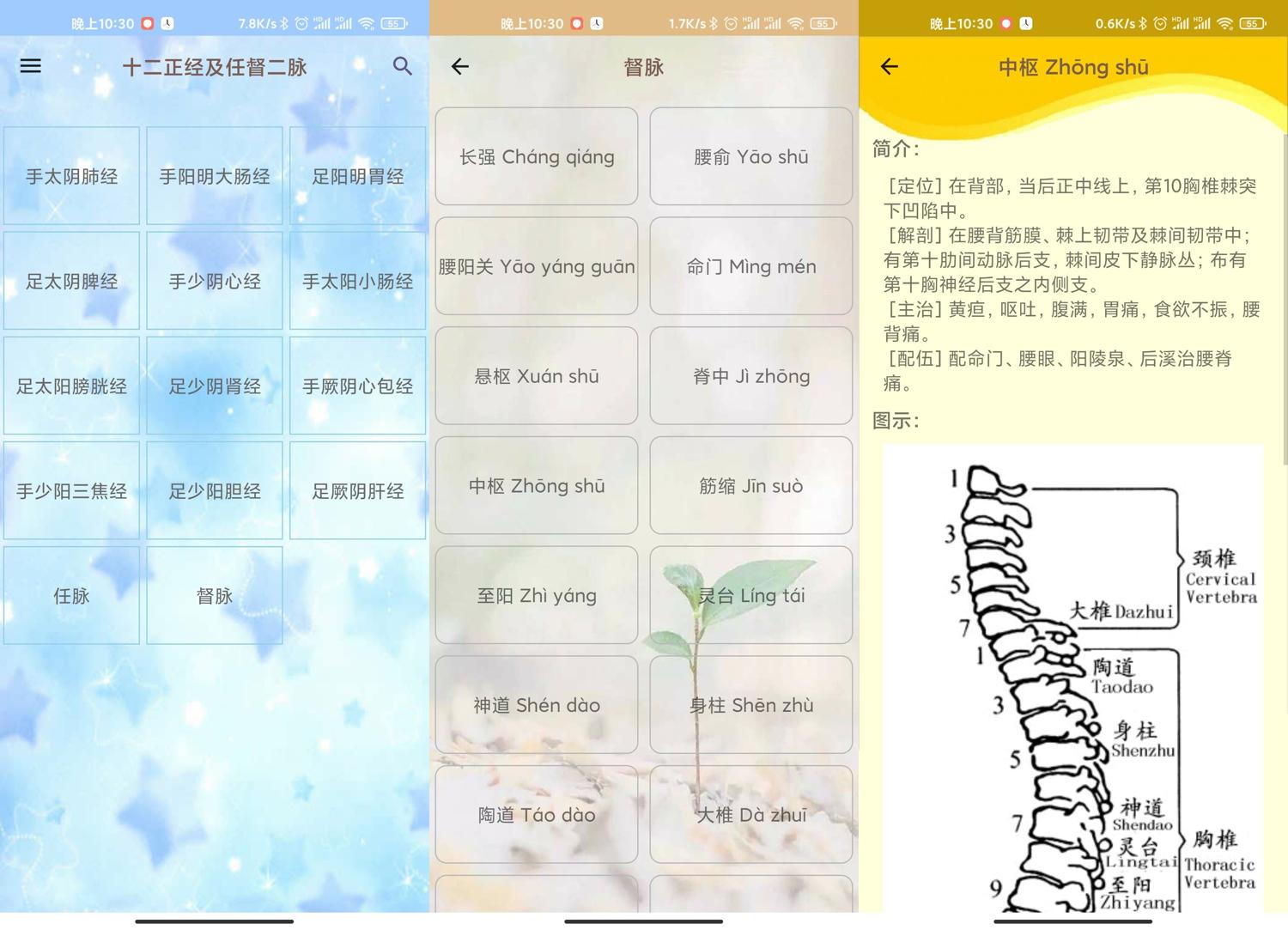 20250516161130-682763b25cb27.jpg 安卓人体穴位图解v3.1.8可离线版