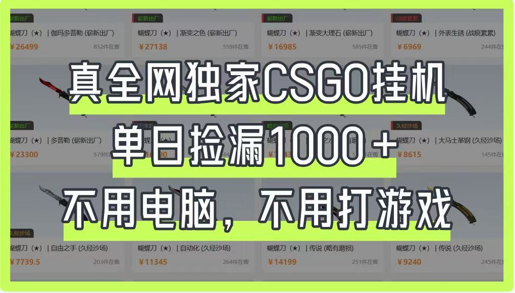 20250517104305-68286839b900c.jpg 真全网独家CSGO挂机,单日捡漏1000+,不用电脑,不用养号