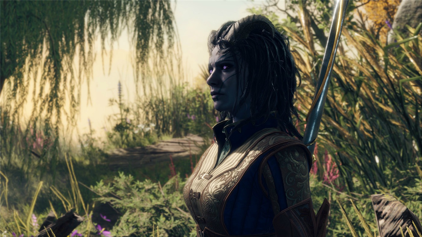 20250522032355-682e98cb7207b.jpg 《博德之门3》v4.1.1.6758295正式版