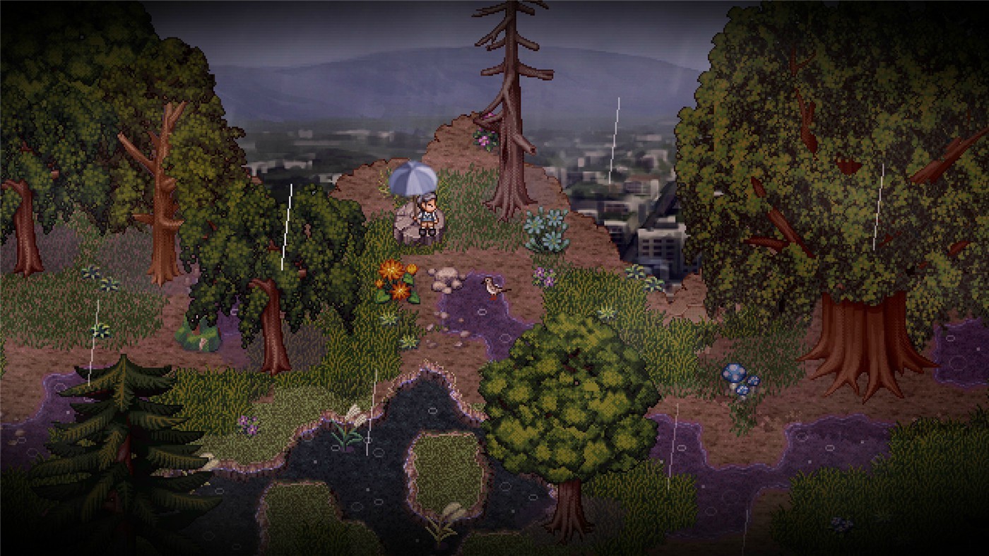 20250522033023-682e9a4f503f2.jpg 《鸟的故事》v1946620中文版