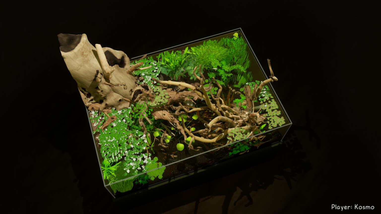 20250522033537-682e9b89aeacf.jpg 《养鱼模拟器》v00.03.24中文版