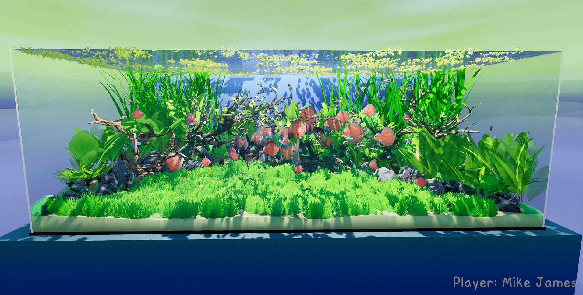 20250522033538-682e9b8a06c0a.jpg 《养鱼模拟器》v00.03.24中文版