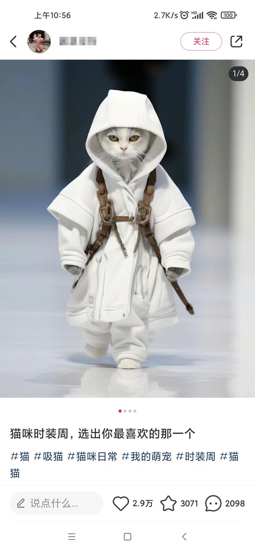 20250524122309-6831ba2deb0cb.png 小红书最新爆款项目,Animal秀,7天变现1w+