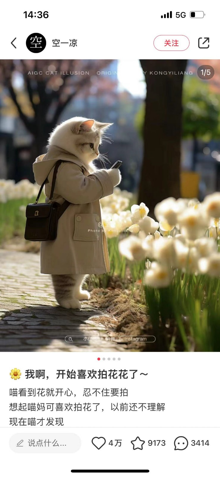 20250605015549-6840f925b5402.jpg AI猫咪穿搭保姆级教程,起号容易,变现途径多