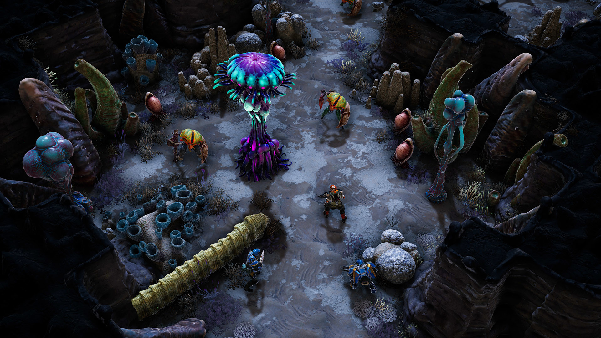 20260301143459-69a44e93ea06d.jpg 《凤凰点:周年版》中文版