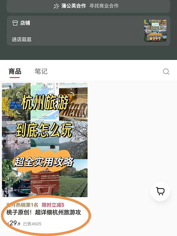 20260301152849-69a45b31b9db0.jpg 小红书虚拟资料项目:19.9一单,已经变现了超50万_网赚项目