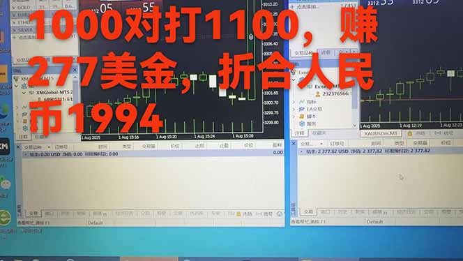 20260302025616-69a4fc505c71f.jpg 稳定8年的美刀搬砖项目,单人每日收益800—3000.团队4人月入10W+.可线下