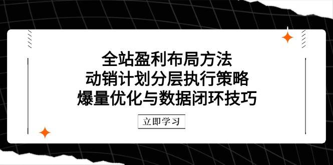 全站盈利布局方法:动销计划分层执行策略,爆量优化与数据闭环技巧网赚项目-副业赚钱-互联网创业-资源整合百读客