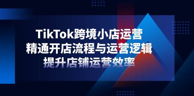 TikTok跨境小店运营，精通开店流程与运营逻辑，提升店铺运营效率网赚项目-副业赚钱-互联网创业-资源整合百读客