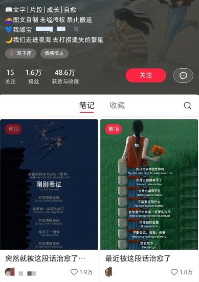 小红书治愈文案图文笔记，零门槛，一分钟制作轻松制作爆款作品月入万元网赚项目-副业赚钱-互联网创业-资源整合百读客