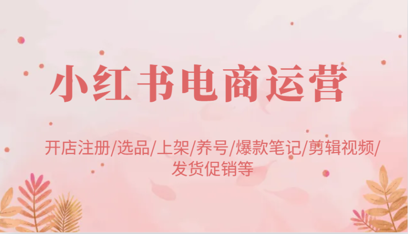 小红书电商运营:开店注册/选品/上架/养号/爆款笔记/剪辑视频/发货促销等网赚项目-副业赚钱-互联网创业-资源整合百读客