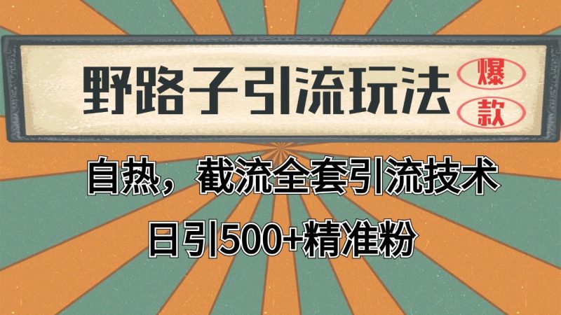 抖音小红书视频号全平台引流打法，全自动引流日引2000+精准客户网赚项目-副业赚钱-互联网创业-资源整合百读客