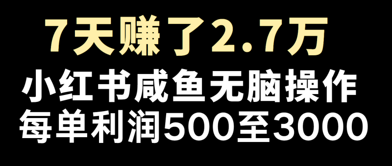 全网首发，7天赚了2.6万，2025利润超级高！网赚项目-副业赚钱-互联网创业-资源整合百读客