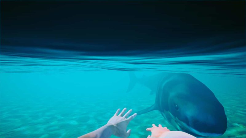 《海滩俱乐部模拟器2024》中文版网赚项目-副业赚钱-互联网创业-资源整合百读客