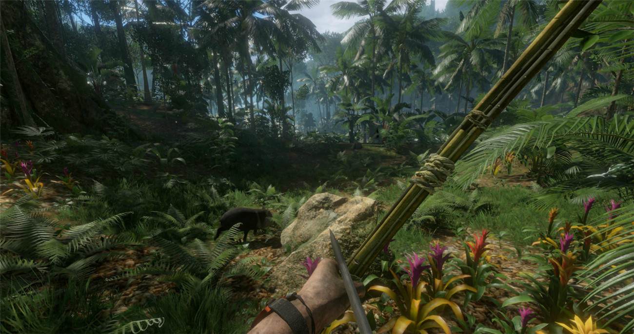 《绿色地狱》v2.6.3中文版