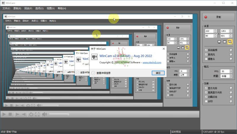 WinCAM屏幕录像v3.9.0中文版网赚项目-副业赚钱-互联网创业-资源整合百读客