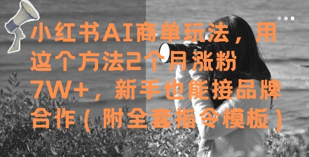 小红书AI商单玩法,用这个方法2个月涨粉7W+,新手也能接品牌合作(附全套指令模板)网赚项目-副业赚钱-互联网创业-资源整合百读客
