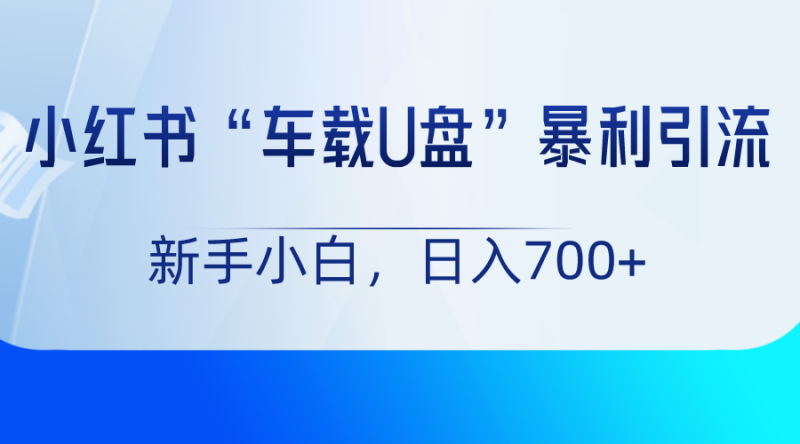 小红书“车载U盘”项目,暴利引流,新手小白轻松日入700+网赚项目-副业赚钱-互联网创业-资源整合百读客