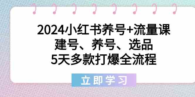 2024小红书养号+流量课:建号、养号、选品,5天多款打爆全流程网赚项目-副业赚钱-互联网创业-资源整合百读客