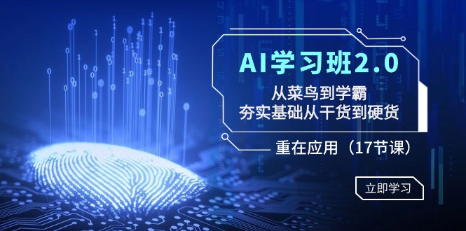 AI学习班2.0：从菜鸟到学霸，夯实基础从干货到硬货，重在应用（17节课）网赚项目-副业赚钱-互联网创业-资源整合百读客