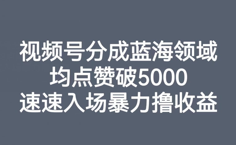 视频号分成蓝海领域,均点赞破5000,速速入场暴力撸收益网赚项目-副业赚钱-互联网创业-资源整合百读客