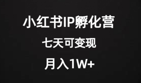 价值2000+的小红书IP孵化营项目,超级大蓝海,七天即可开始变现,稳定月入1W+网赚项目-副业赚钱-互联网创业-资源整合百读客
