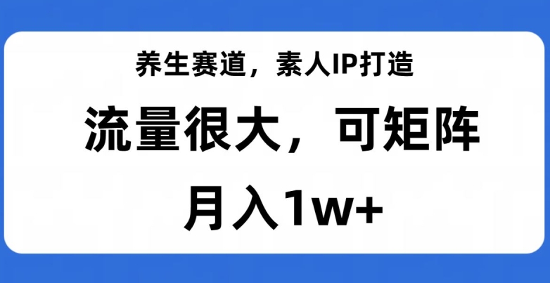 养生赛道，素人IP打造，流量很大，可矩阵，月入1w+【揭秘】网赚项目-副业赚钱-互联网创业-资源整合百读客