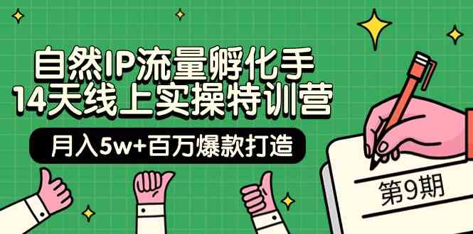 自然IP流量孵化手14天线上实操特训营【第9期】月入5w+百万爆款打造 (74节)网赚项目-副业赚钱-互联网创业-资源整合百读客