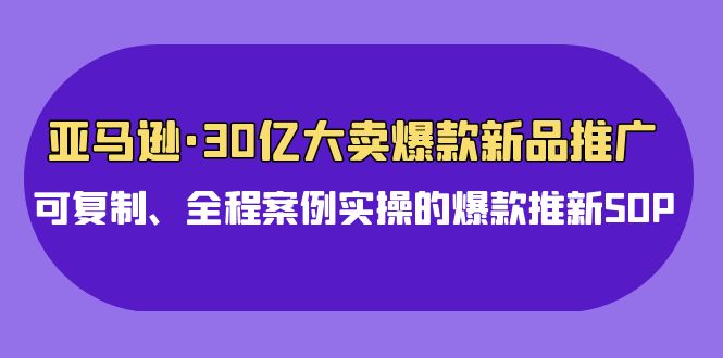 亚马逊30亿大卖爆款新品推广，可复制、全程案例实操的爆款推新SOP网赚项目-副业赚钱-互联网创业-资源整合百读客