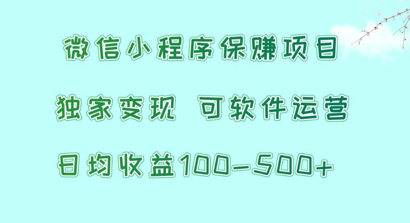 微信小程序保赚项目，日均收益100~500+，独家变现，可软件运营网赚项目-副业赚钱-互联网创业-资源整合百读客