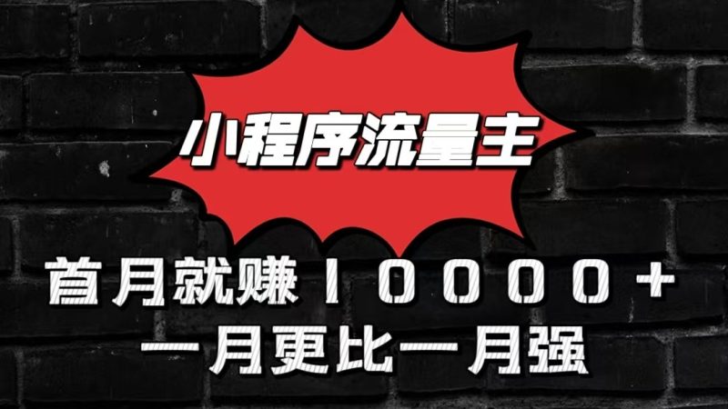 小程序流量主首月就赚10000+，一月更比一月强！小本创业首选网赚项目-副业赚钱-互联网创业-资源整合百读客