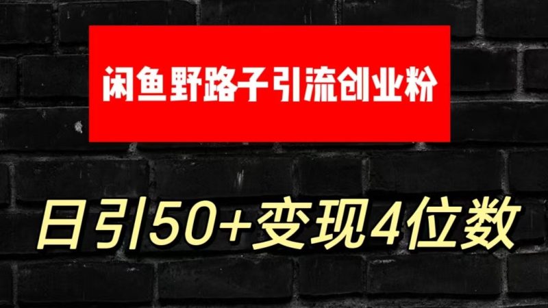 大眼闲鱼野路子引流创业粉，日引50+单日变现四位数网赚项目-副业赚钱-互联网创业-资源整合百读客