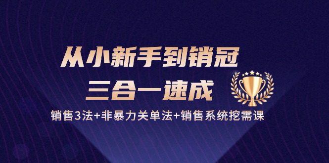 从小新手到销冠三合一速成:销售3法+非暴力关单法+销售系统挖需课 (27节)网赚项目-副业赚钱-互联网创业-资源整合百读客
