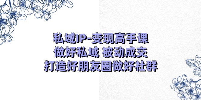 私域IP变现高手课：做好私域被动成交，打造好朋友圈做好社群（18节）网赚项目-副业赚钱-互联网创业-资源整合百读客