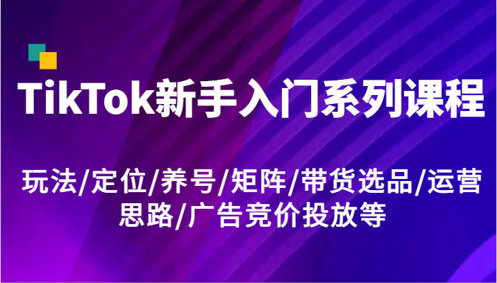 TikTok新手入门系列课程，玩法/定位/养号/矩阵/带货选品/运营思路/广告竞价投放等网赚项目-副业赚钱-互联网创业-资源整合百读客