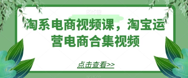 淘系电商视频课,淘宝运营电商合集视频网赚项目-副业赚钱-互联网创业-资源整合百读客