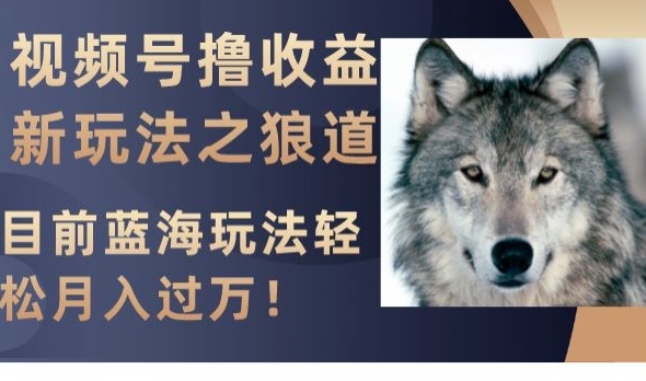 视频号撸收益新玩法之狼道，目前蓝海玩法，轻松月入过万【揭秘】网赚项目-副业赚钱-互联网创业-资源整合百读客