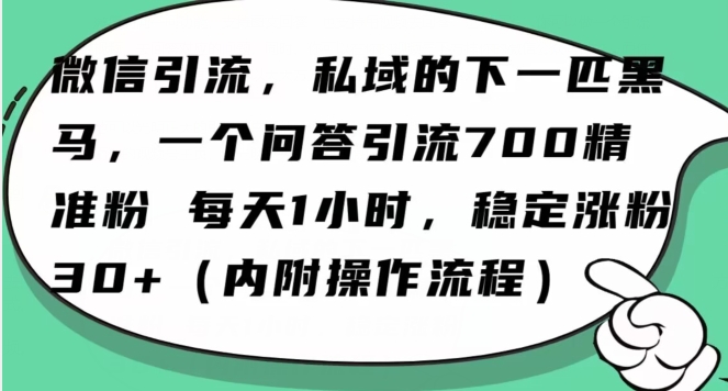 怎么搞精准创业粉？微信新赛道，每天一小时，利用Ai一个问答日引100精准粉网赚项目-副业赚钱-互联网创业-资源整合百读客
