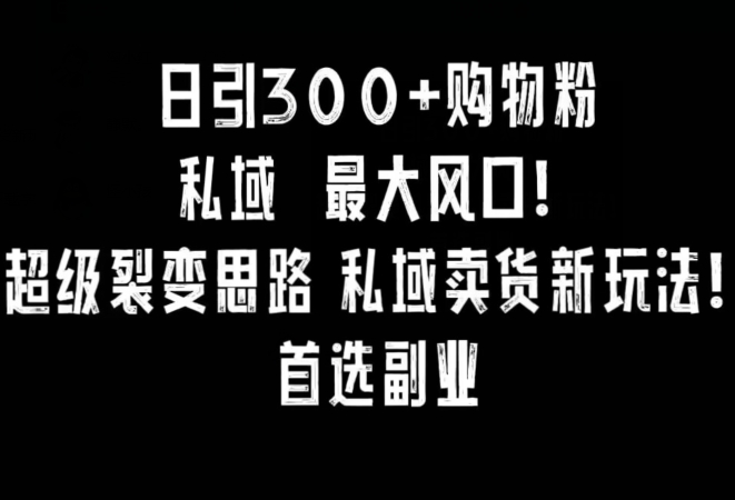 日引300+购物粉，超级裂变思路，私域卖货新玩法，小红书首选副业网赚项目-副业赚钱-互联网创业-资源整合百读客
