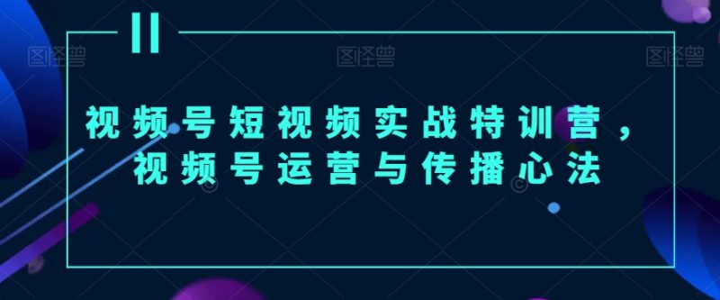 视频号短视频实战特训营,视频号运营与传播心法网赚项目-副业赚钱-互联网创业-资源整合百读客