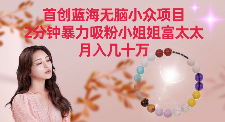 首创蓝海无脑小众项目，2分钟暴力吸粉小姐姐富太太，月入几十万网赚项目-副业赚钱-互联网创业-资源整合百读客