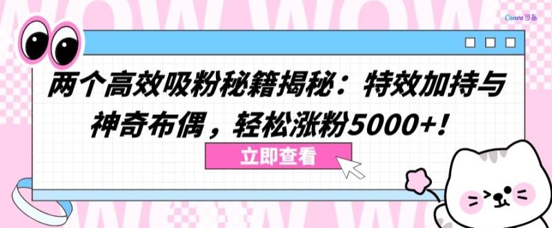 两个高效吸粉秘籍揭秘：特效加持与神奇布偶，轻松涨粉5000+网赚项目-副业赚钱-互联网创业-资源整合百读客