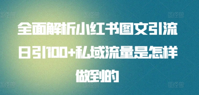 全面解析小红书图文引流日引100+私域流量是怎样做到的网赚项目-副业赚钱-互联网创业-资源整合百读客