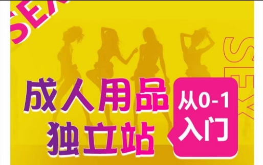 成人用品独立站从0-1入门，成品独立站运营全流程教学，七大好卖成品独立站推荐网赚项目-副业赚钱-互联网创业-资源整合百读客