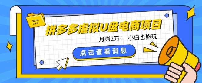 拼多多虚拟U盘电商红利项目:月赚2万+,新手小白也能玩网赚项目-副业赚钱-互联网创业-资源整合百读客