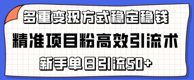 精准项目粉高效引流术,新手单日引流50+,多重变现方式稳定赚钱网赚项目-副业赚钱-互联网创业-资源整合百读客