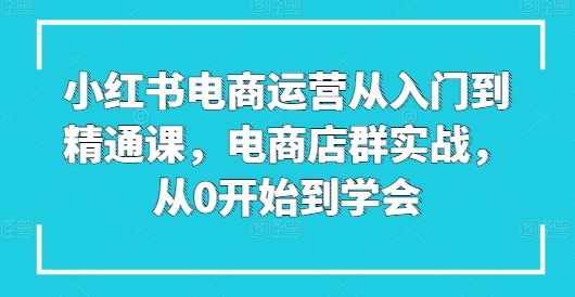 小红书电商运营从入门到精通课，电商店群实战，从0开始到学会网赚项目-副业赚钱-互联网创业-资源整合百读客