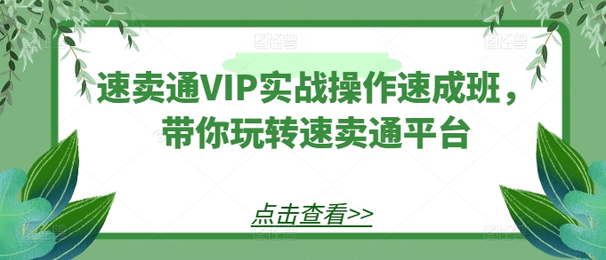 速卖通VIP实战操作速成班,带你玩转速卖通平台网赚项目-副业赚钱-互联网创业-资源整合百读客