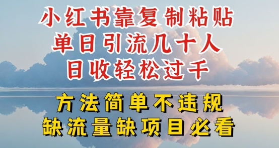 小红书靠复制粘贴单日引流几十人目收轻松过千,方法简单不违规网赚项目-副业赚钱-互联网创业-资源整合百读客