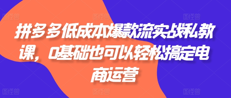 拼多多低成本爆款流实战私教课,0基础也可以轻松搞定电商运营网赚项目-副业赚钱-互联网创业-资源整合百读客